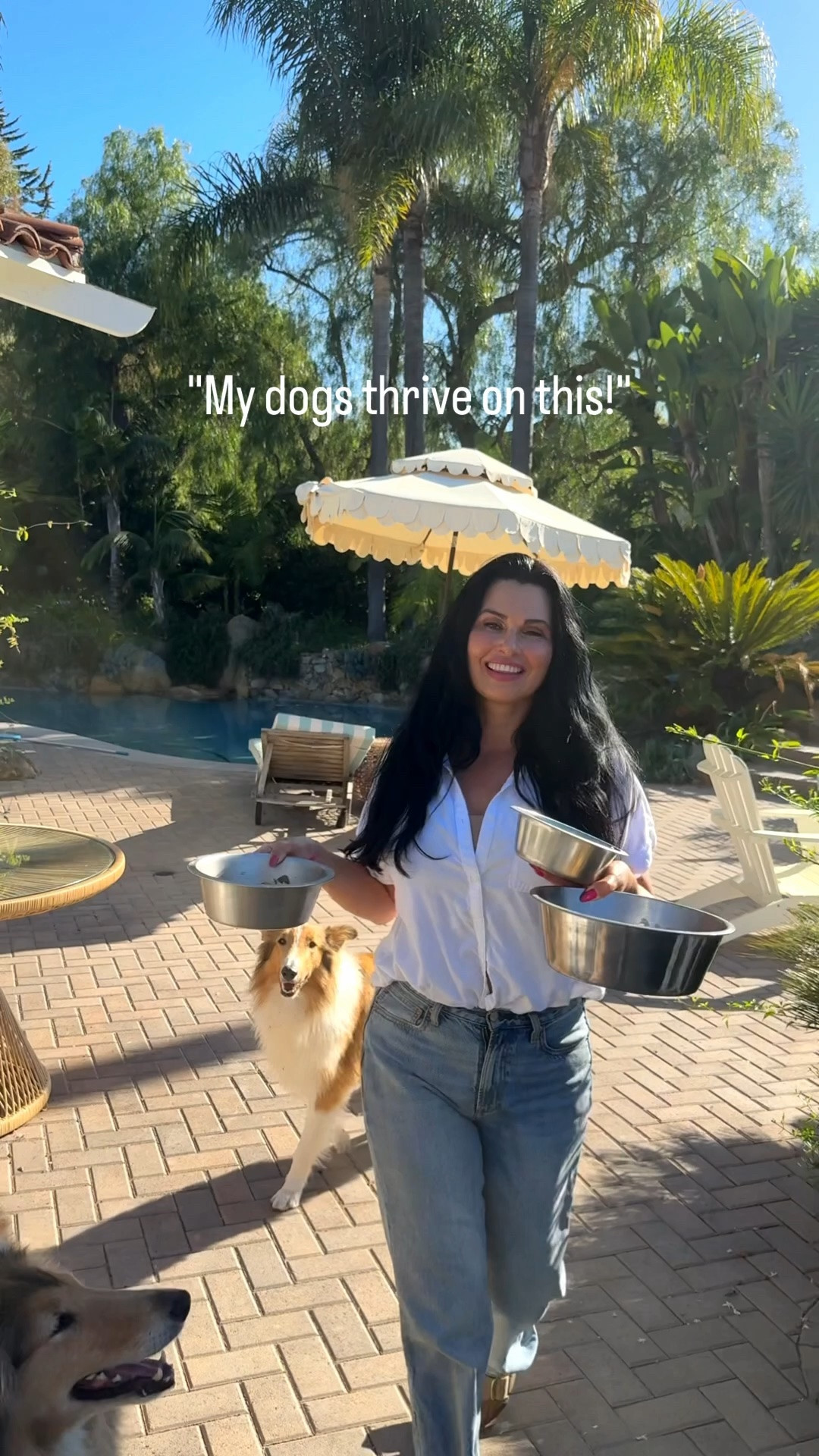 My Dogs are OBSESSED with JustFoodForDogs! ❤️🐾

Calling all dog parents! 📣 If you're looking for a way to make your pups healthier and happier, you HAVE to hear about our mealtime secret: JustFoodForDogs! ✨
As a mom to four amazing dogs, their health and happiness are everything to me. 
Here's why we're all obsessed:

✅ Human-Grade Ingredients: Real food, made for dogs, with ingredients you can actually recognize!

✅ Easy to Serve: No cooking, no fuss! Just scoop and watch them devour it.

✅ Visible Health Benefits: Shinier coats, better digestion, and so much more energy! My vet even approves!

✅ Four Paws Up Approval: All four of my dogs absolutely LOVE it! Mealtime has never been this exciting.

Watching them thrive on this fresh, wholesome food brings me so much joy. It's truly the best investment in their long-term health and happiness!

For more fun lifestyle tips, pet content, and our daily adventures, make sure to follow @marneys_tidbits! 🌸

And for all my detailed reviews and recommendations, check out my blog at marneystidbits.com!

 #DogFood #PetNutrition #petfood  #RealFoodForDogs #HumanGradeDogFood

#LTKgrwm #LTKstorytime #LTKvlog
