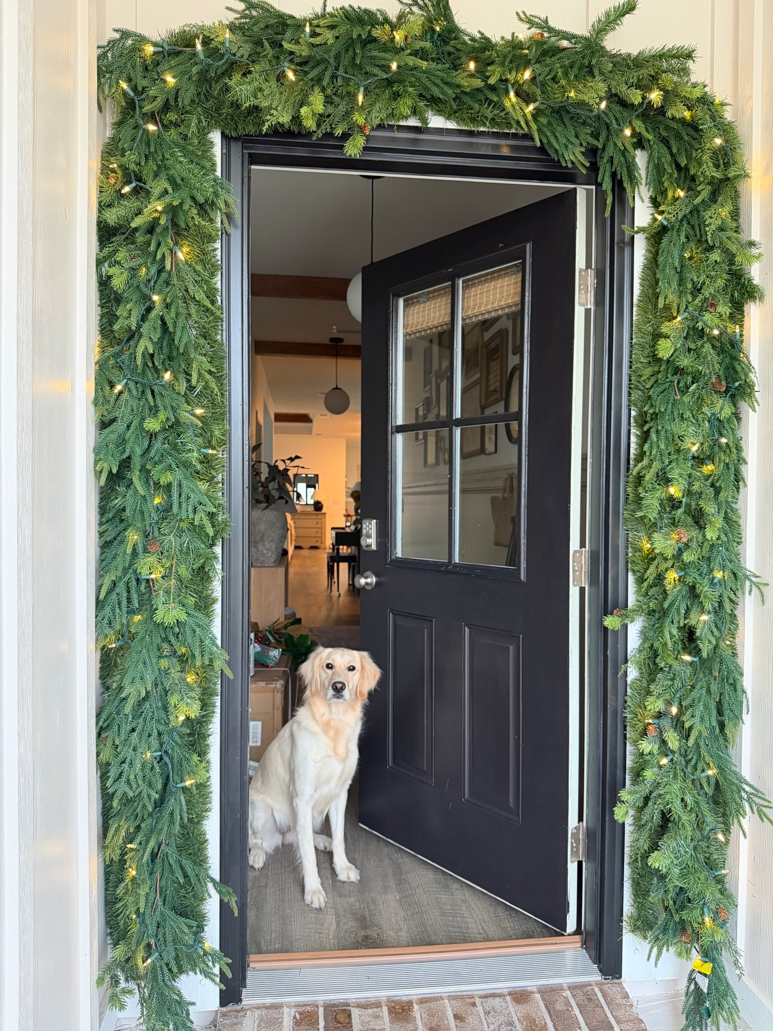 The start of our Christmas entryway! 

#LTKHoliday #LTKSeasonal #LTKHome