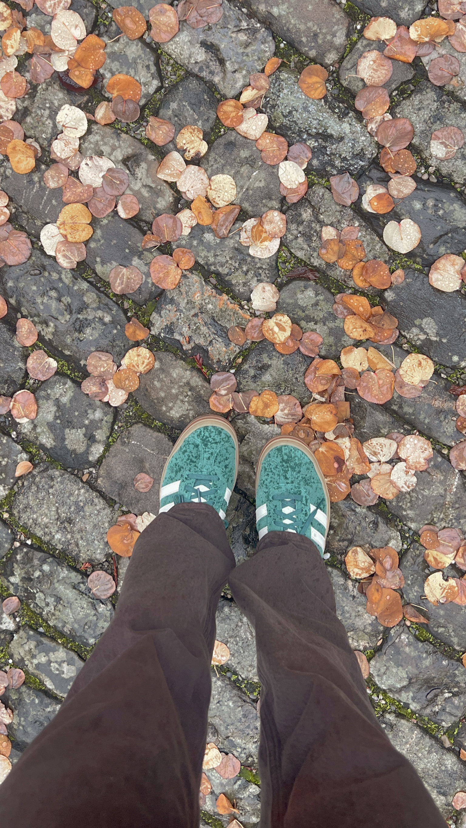Adidas gazelle bold green and gum. These have been my favorite shoe for walking around in Europe since it’s a platform shoes it’s extraaa comfy!

People say to size down half a size, but I stuck with me regular 8.5 and they’re perfect.

#LTKSeasonal #LTKShoeCrush #LTKStyleTip