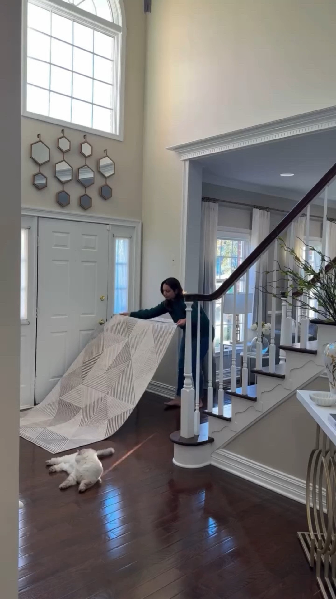 The only home finds I’d repurchase without thinking- because I love them so much! High quality, affordable and of course stylish! 
@Wayfair @amazonhome
Amazon Home 
Creator Favorites 
Found it on Amazon 
Home Inspo 
Rugs