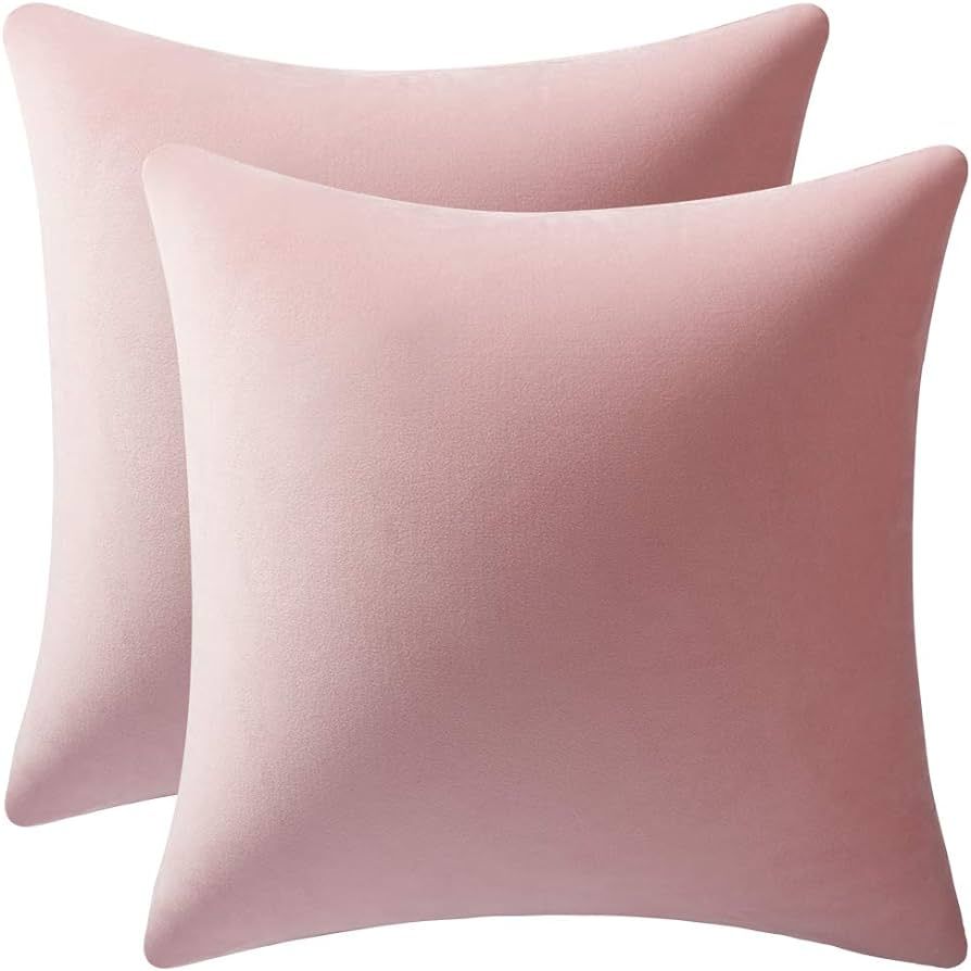DEZENE 20x20 Throw Pillow Covers Pink: 2 Pack Cozy Soft Velvet Square Decorative Pillow Cases for... | Amazon (US)