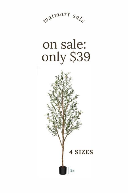 Incredible deal on this artificial olive tree. It comes in four different sizes from Walmart/sale. Don’t wait on this. It will be gone, artificial tree.

#LTKSaleAlert #LTKHome #LTKStyleTip