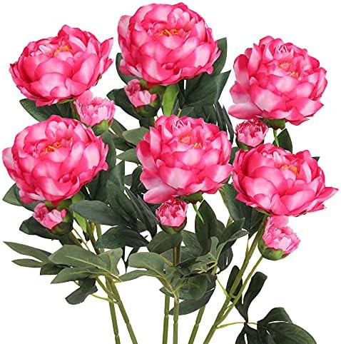 Grand Verde Artificial Peonies Silk Peony Flower Heads 25” Tall Stems Fake Floral Decoration Bridal  | Amazon (US)