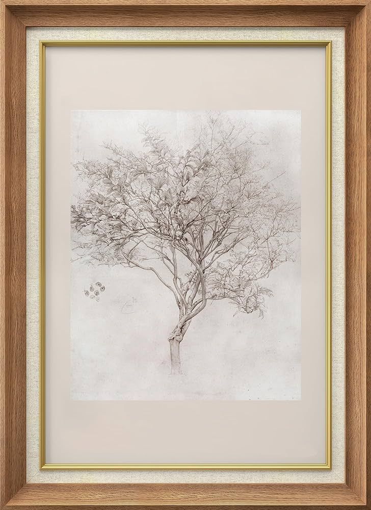 SIGNFORD Premium Framed Wall Art Sketch Tree Vintage Art Nature Wilderness Illustrations Fine Art... | Amazon (US)