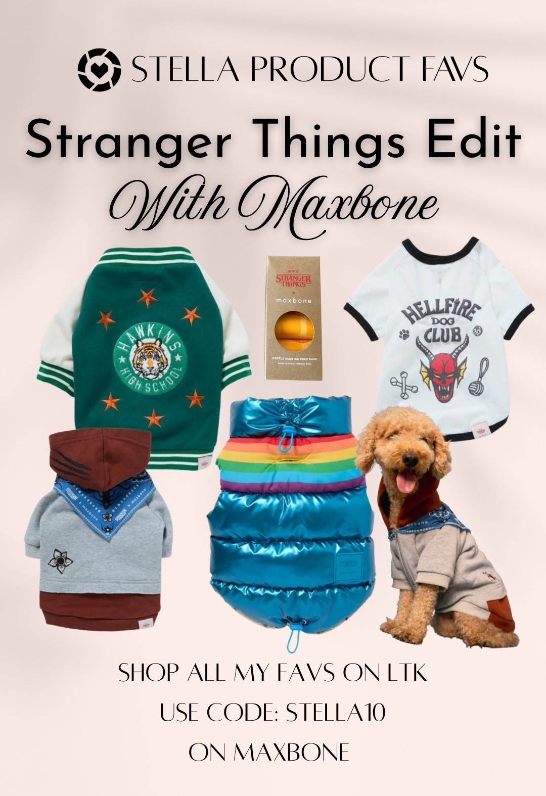 Stranger Things is now out and you and your pup can go to the upside down together in all Stranger Things gear! 👽⚡️

#LTKGiftGuide #LTKFindsUnder50