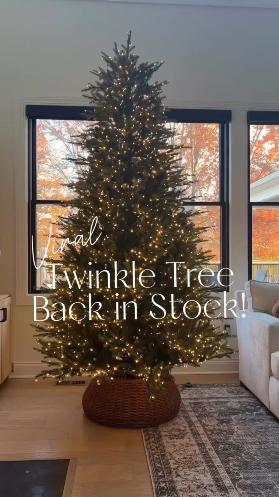 If you missed out on the viral twinkling Christmas Tree, it’s BACK! These sell out every year before November so here’s your sign to grab it! Comes in 7.5 & 9 slim or full, 12ft and 15ft sizes with 9 light functions including warm white twinkle and multi-color. So easy to set up and requires little to no fluffing!

#LTKSeasonal #LTKHome