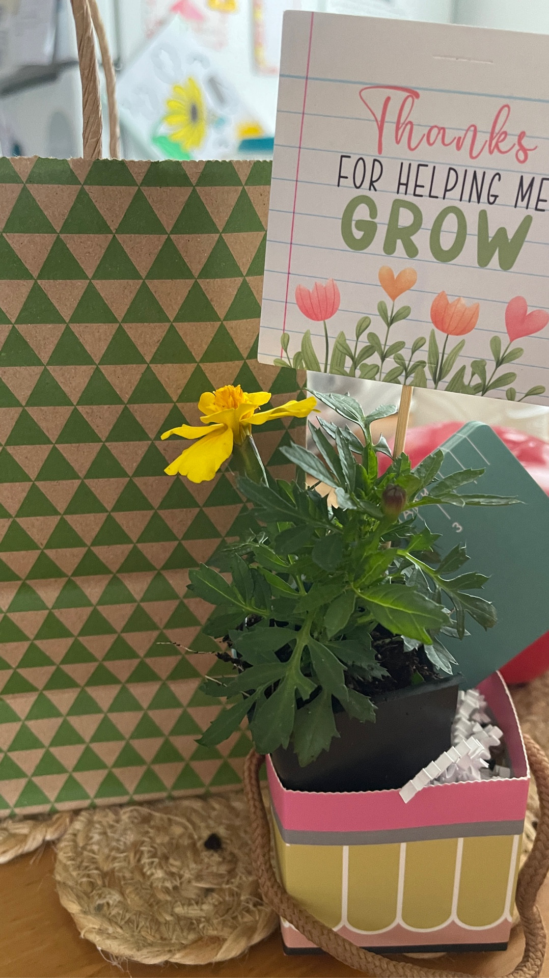 Teacher Appreciation Week!! 🪴✏️🍎✨ 
  🍎Check my IG for full video🍎
#teachersgifts #teacherappreciationweek #teacher #teachers #grow #giftideas

#LTKSeasonal #LTKselfcare #LTKSaleAlert