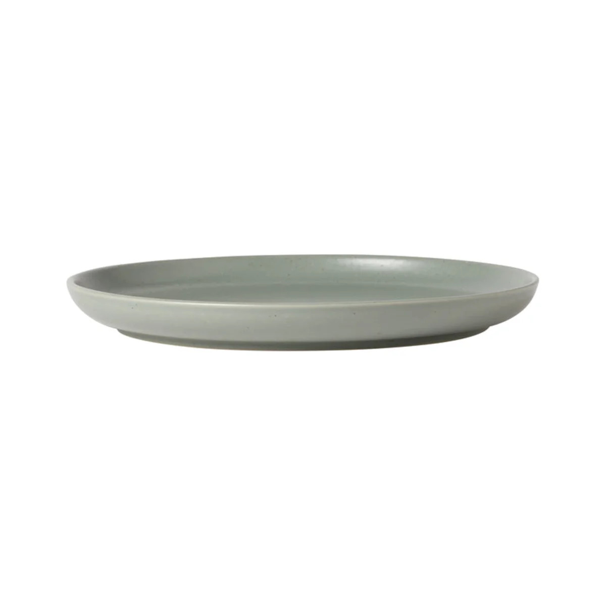 Casafina Pacifica Dinner Plate (Set of 6) | Wayfair North America