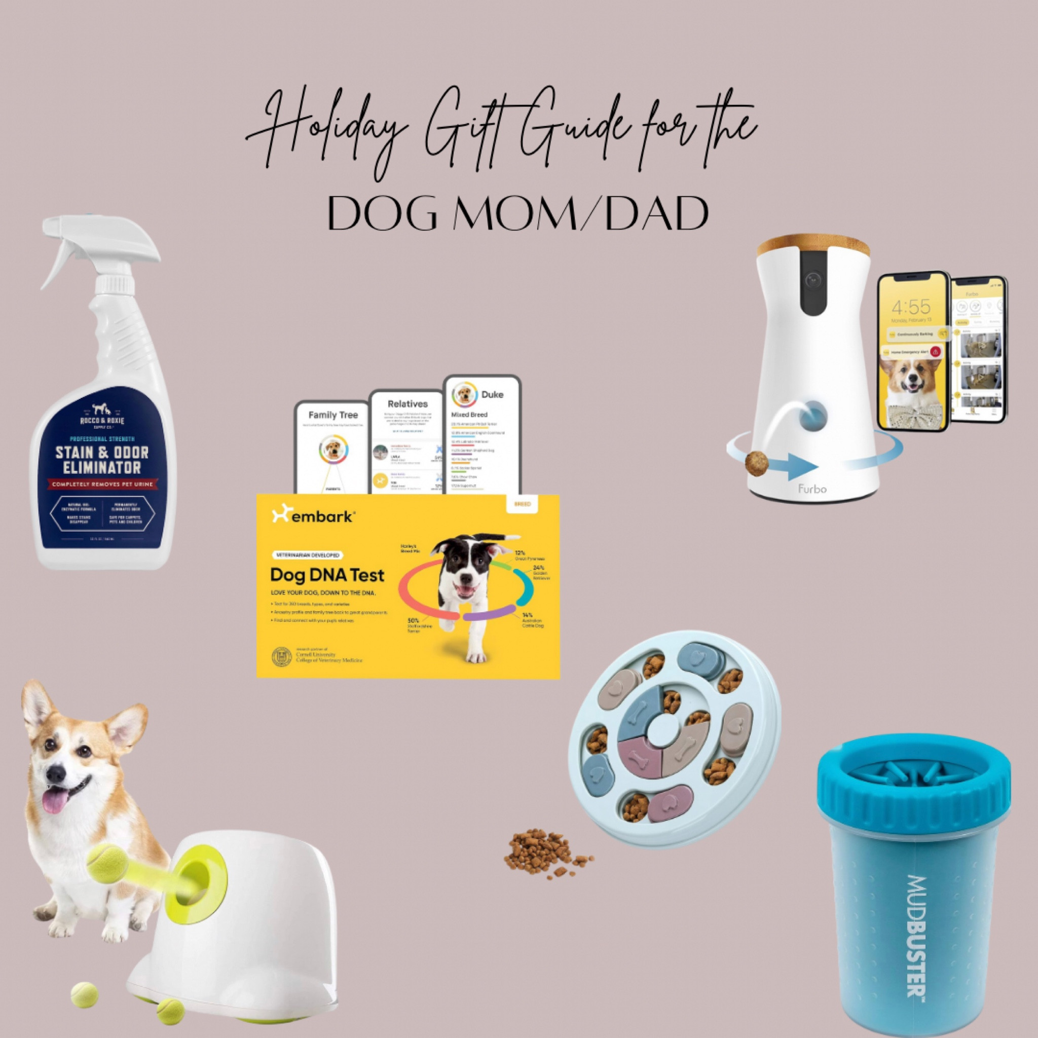 Holiday gift guide for the dog mom/dad!

#LTKGiftGuide #LTKHoliday #LTKSeasonal