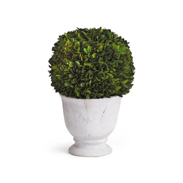 Boxwood Ball Topiary | Cailini Coastal