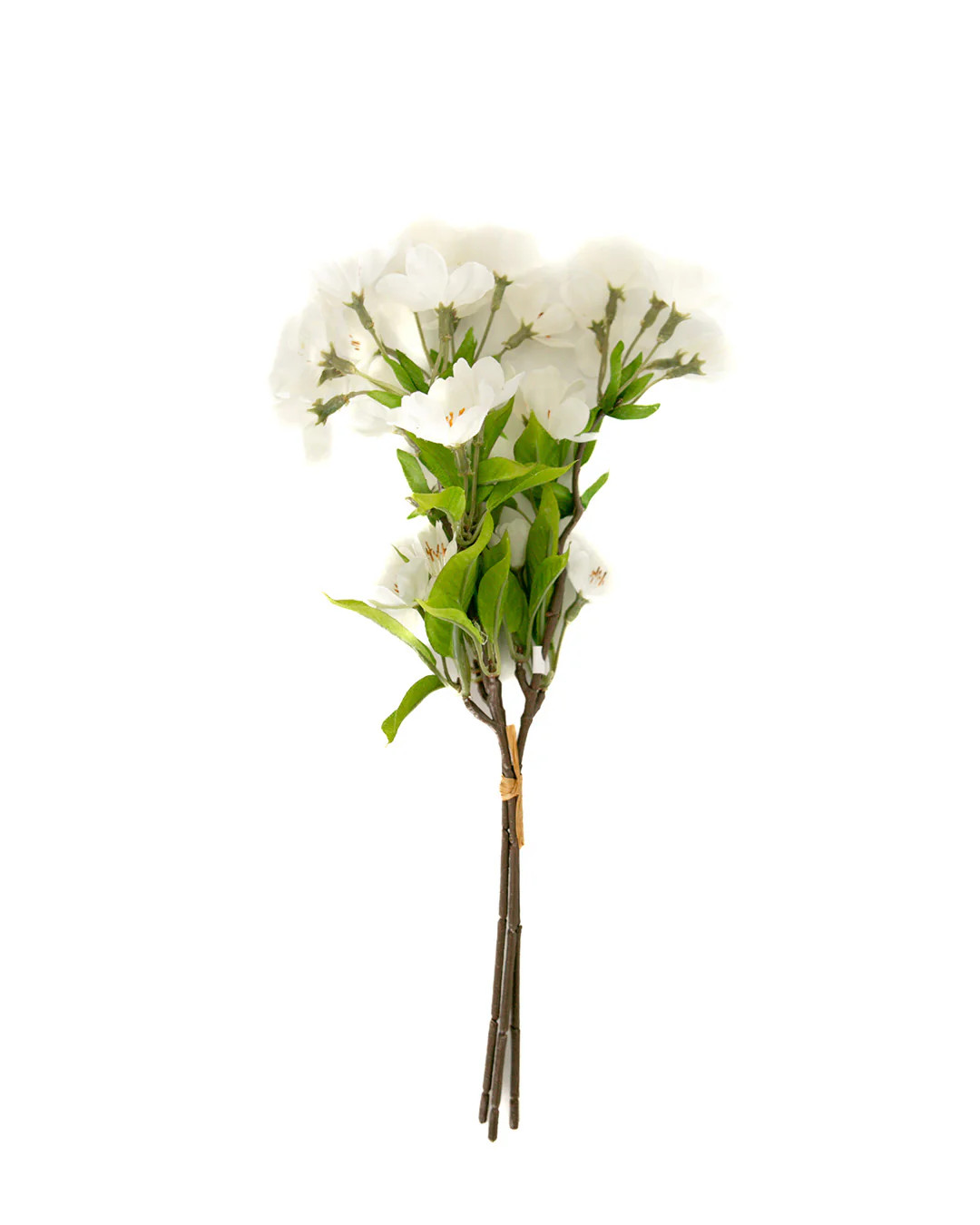 13" Pear Blossom Bundle | Elements by Remedy