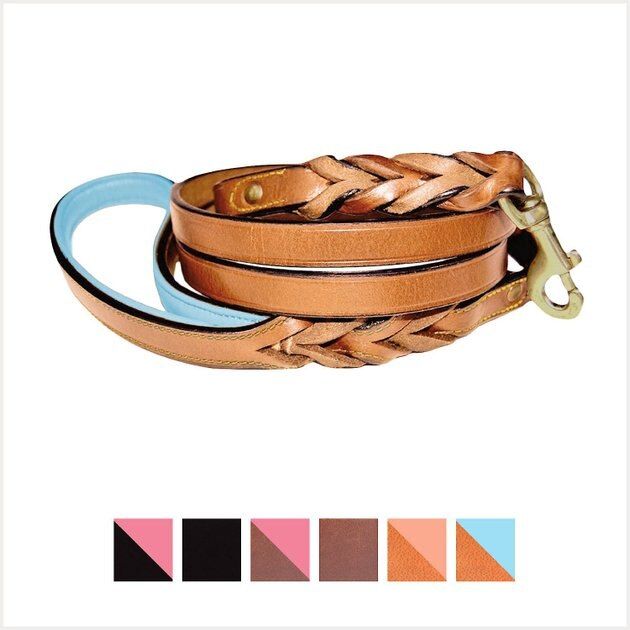 SOFT TOUCH COLLARS Leather Braided Two-Tone Handle Dog Leash, Tan Teal, 6-ft, 3/4-in - Chewy.com | Chewy.com