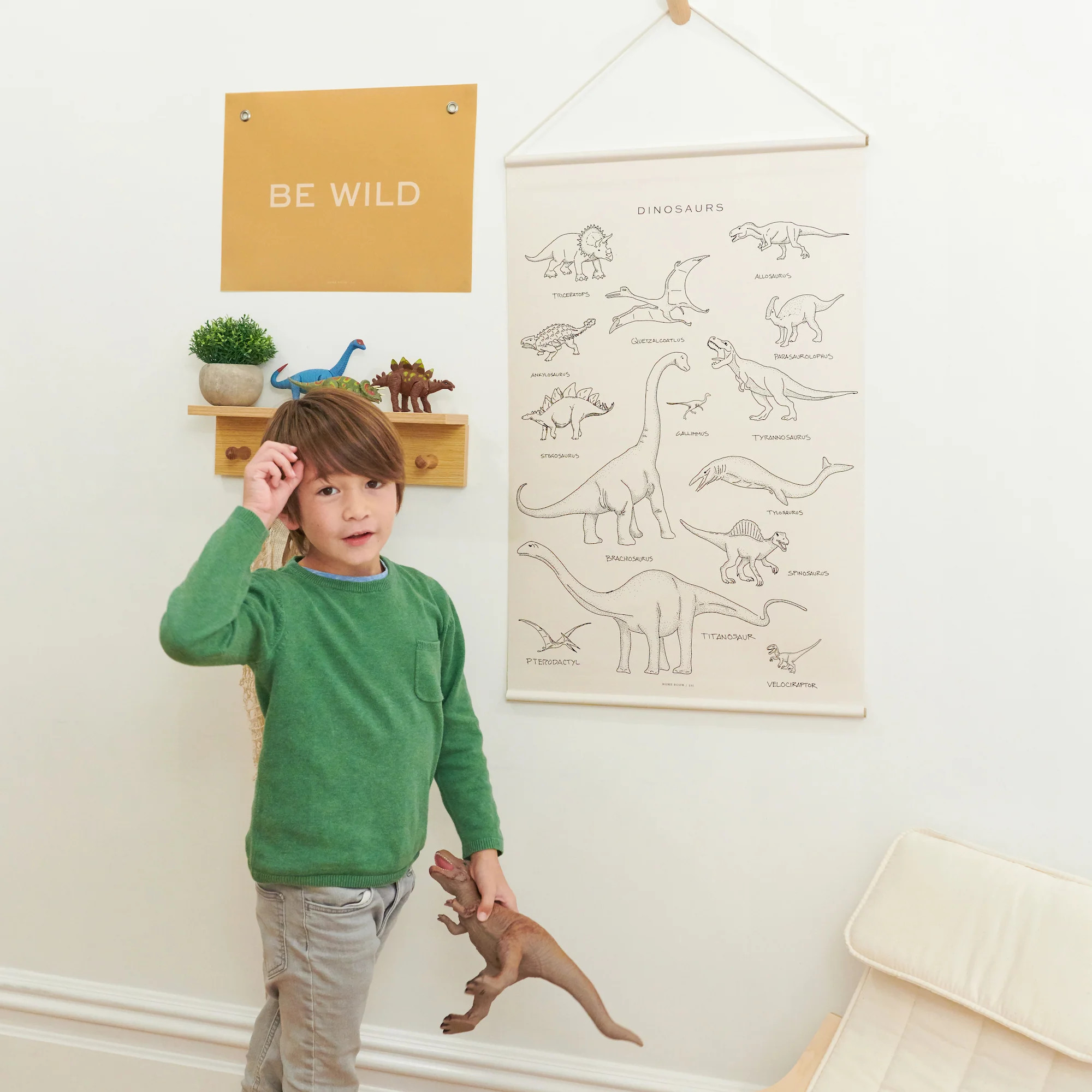 Dinosaurs | Home Room Co.