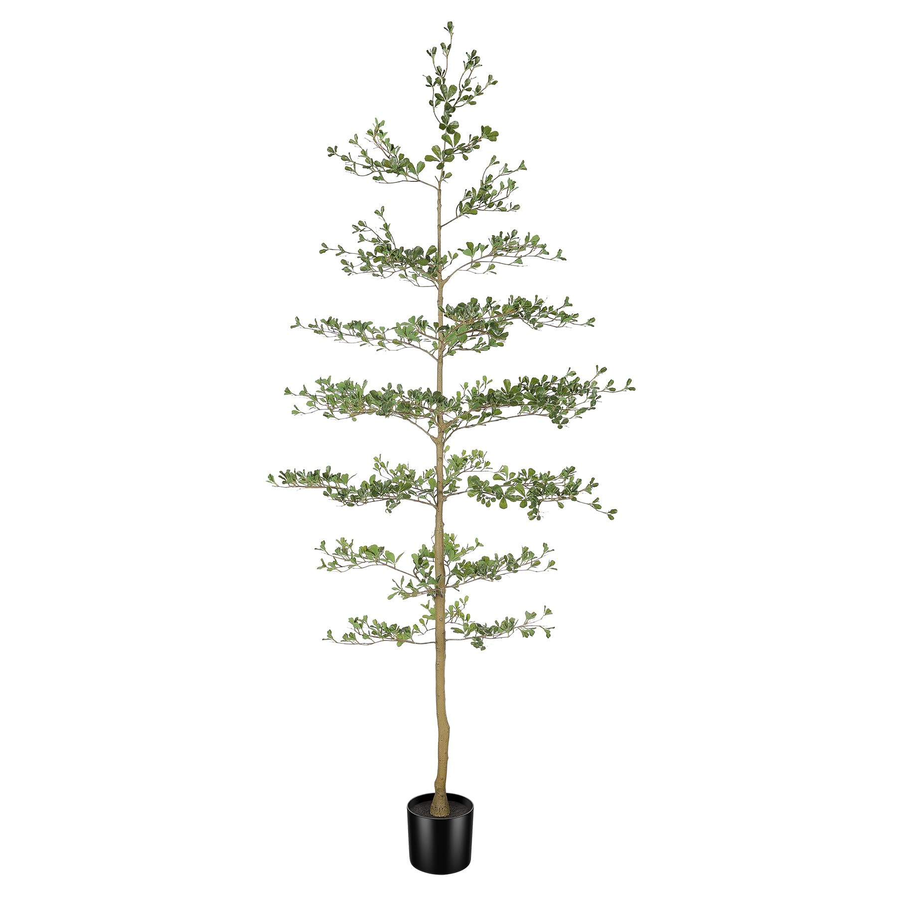 Black Olive Tree Artificial 8ft - Faux Black Olive Tree with Natural Trunk and Realistic Leaves -... | Amazon (US)