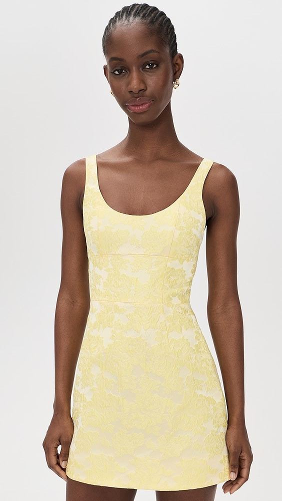 Charlotte Mini Dress | Shopbop