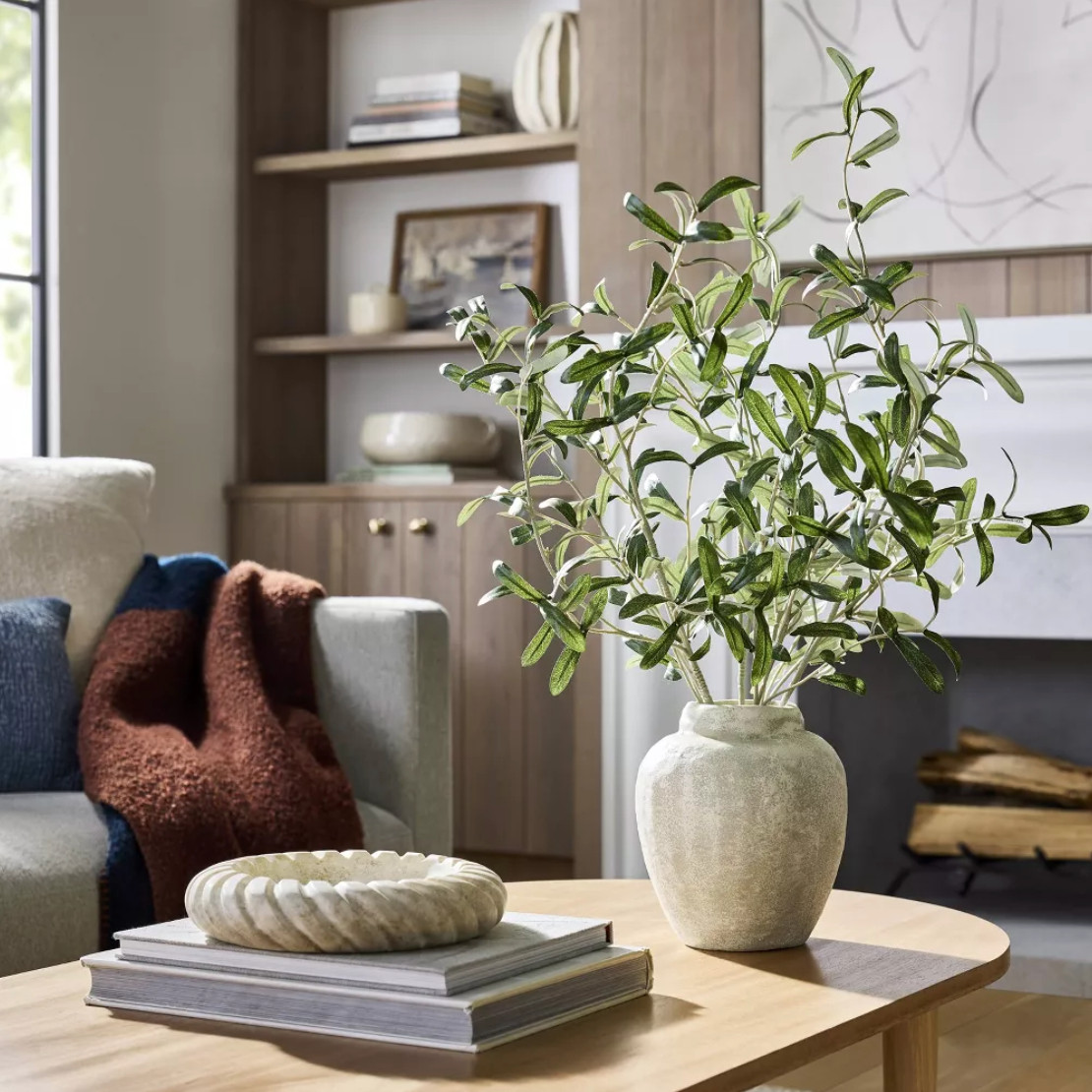 Faux Olive Vase #fauxplant #plant #plantdecor #homedecor 

 #LTKHome #LTKFindsUnder50 #LTKStyleTip