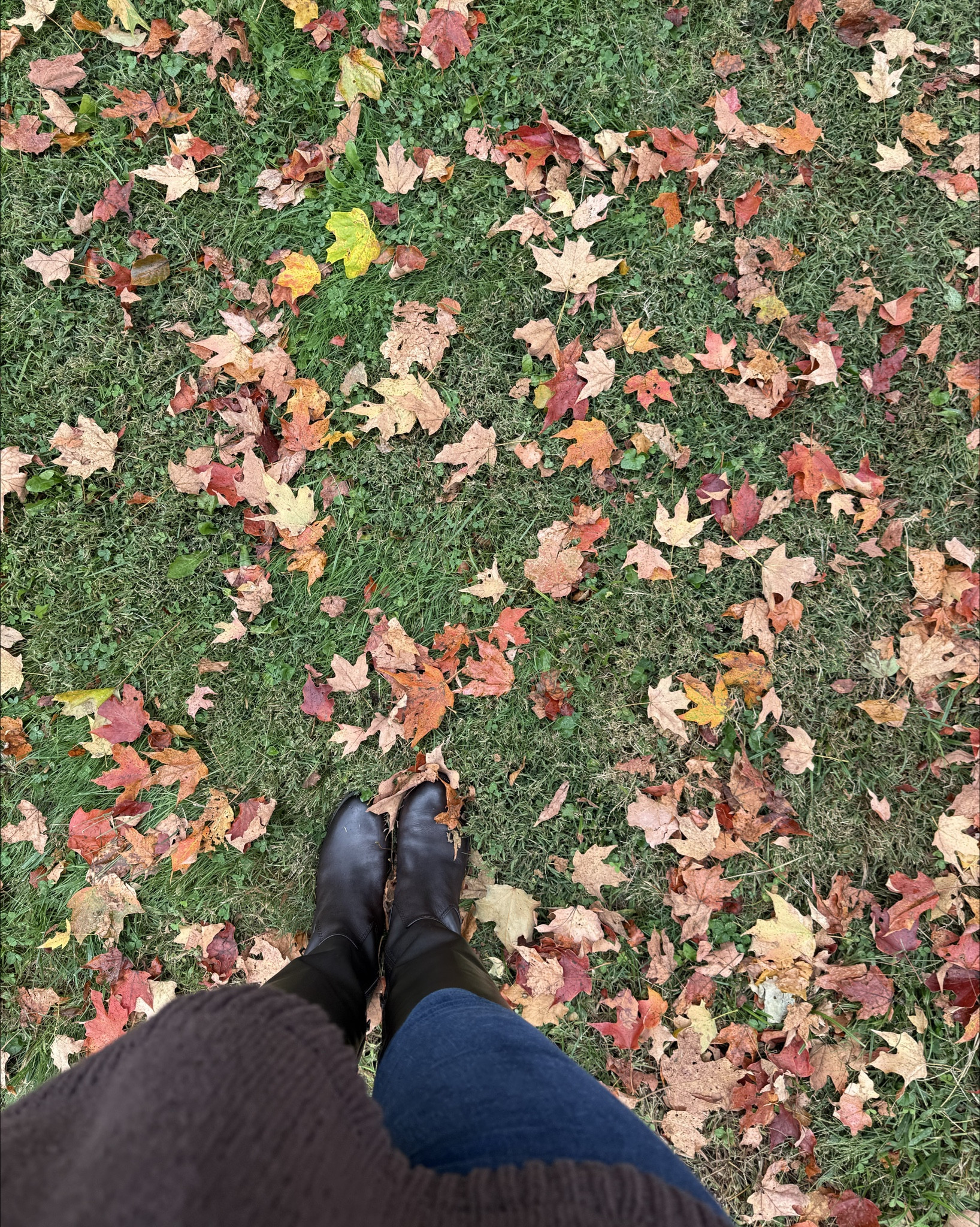 FALL BOOTS!! I love this chocolate brown style from INC at Macy’s! 🤎 they look great with skinny jeans or pair with a skirt / dress for a more formal look. 

Macy’s | Nordstrom | Bloomingdale’s | Brown Boots | Tall Boots | Booties | Black Boots | Fall Outfit Inspo | Style Over 30 


#LTKSaleAlert #LTKShoeCrush #LTKSeasonal