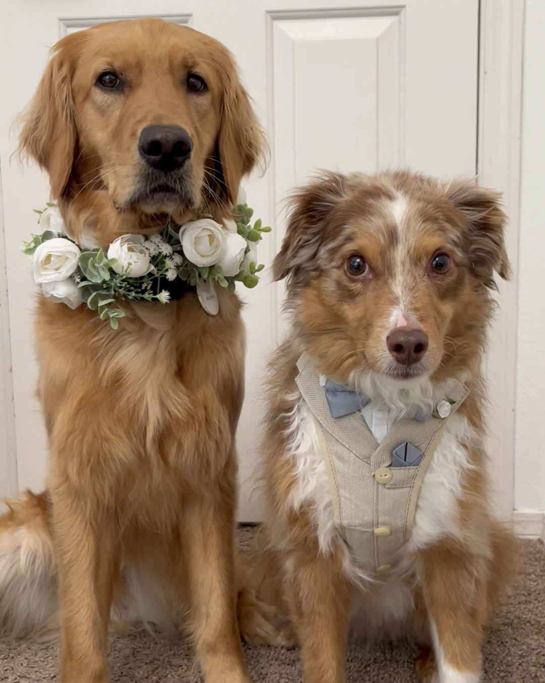 Ayce and Aria are wedding ready!! 


#LTKWedding #LTKFamily