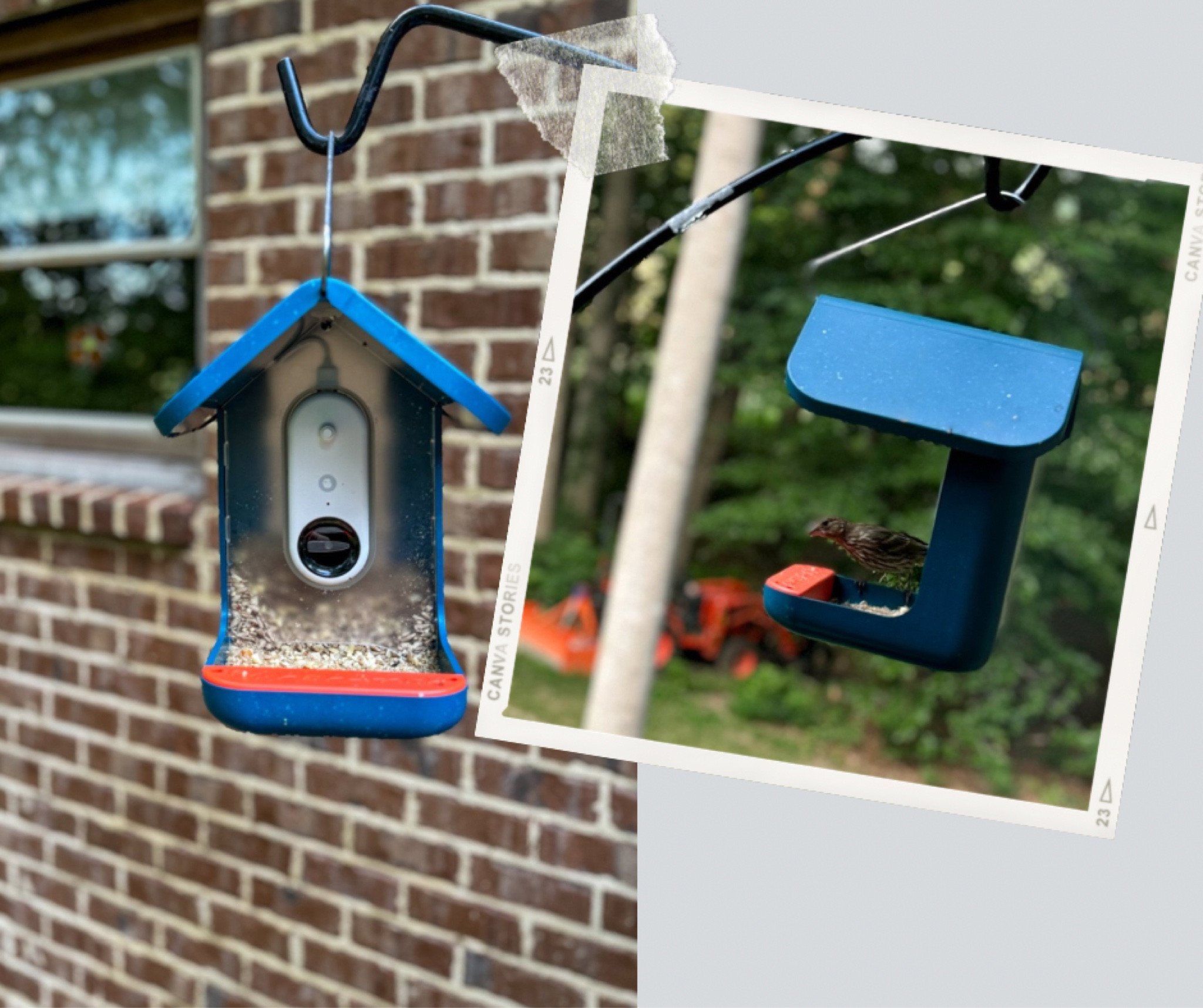 This smart bird feeder takes great photos and videos and is solar powered! We are officially becoming 👵🏼 👴🏻 because we get  excited over notifications that come in on our phone with new birds at the feeder. 

#LTKSeasonal #LTKFamily #LTKHome