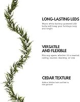 NOMA Pre-Lit Garland | Cedar Christmas Garland with Lights | 50 Warm White LED Bulbs | 9 Feet | Amazon (US)