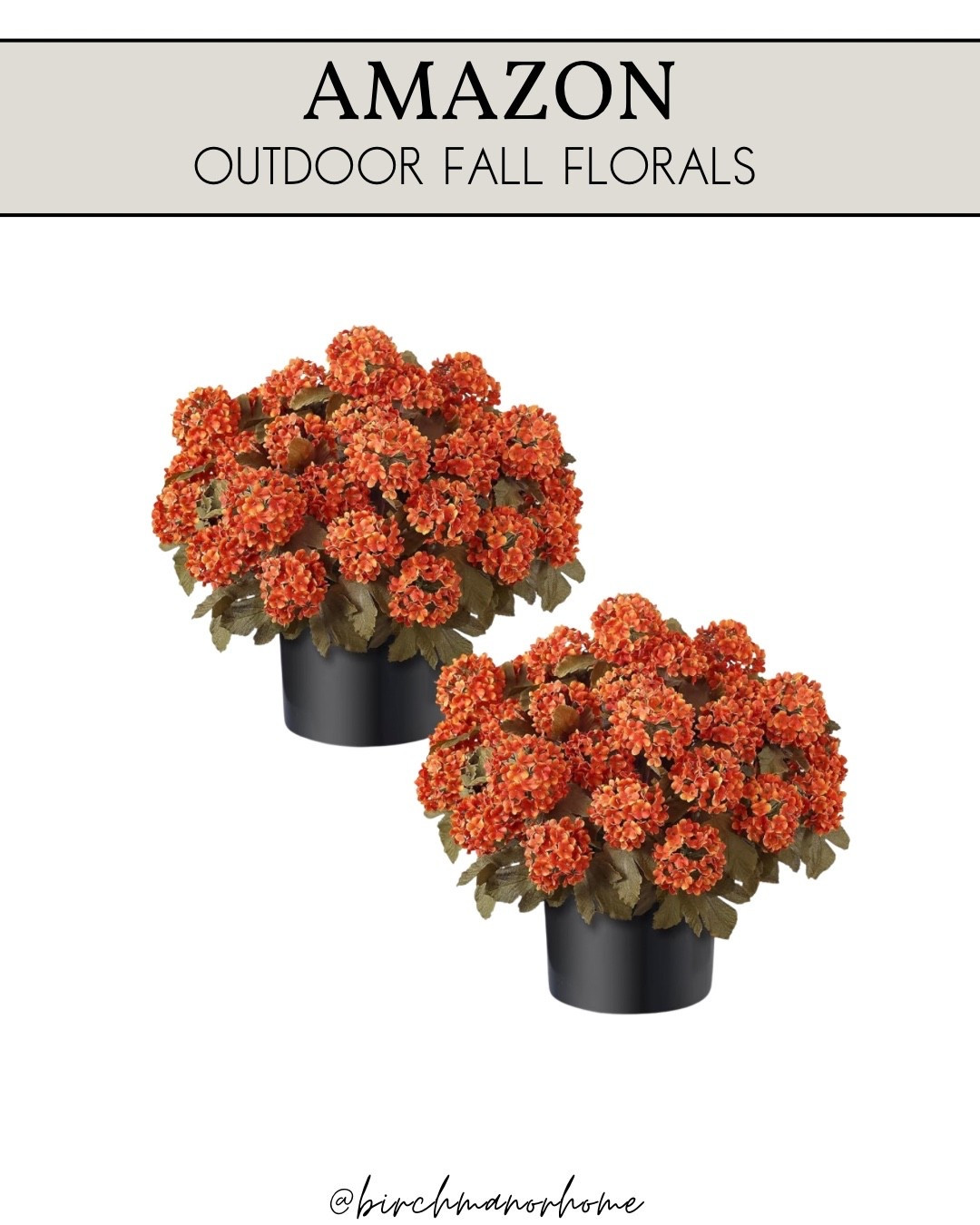 These faux snowball florals are so insanely gorgeous and would be perfect on a front porch for fall! 🍂

#falldecor #fallflorals #fauxflorals #outdoorflorals #amazonfind #fallfinds

#LTKSeasonal #LTKHome