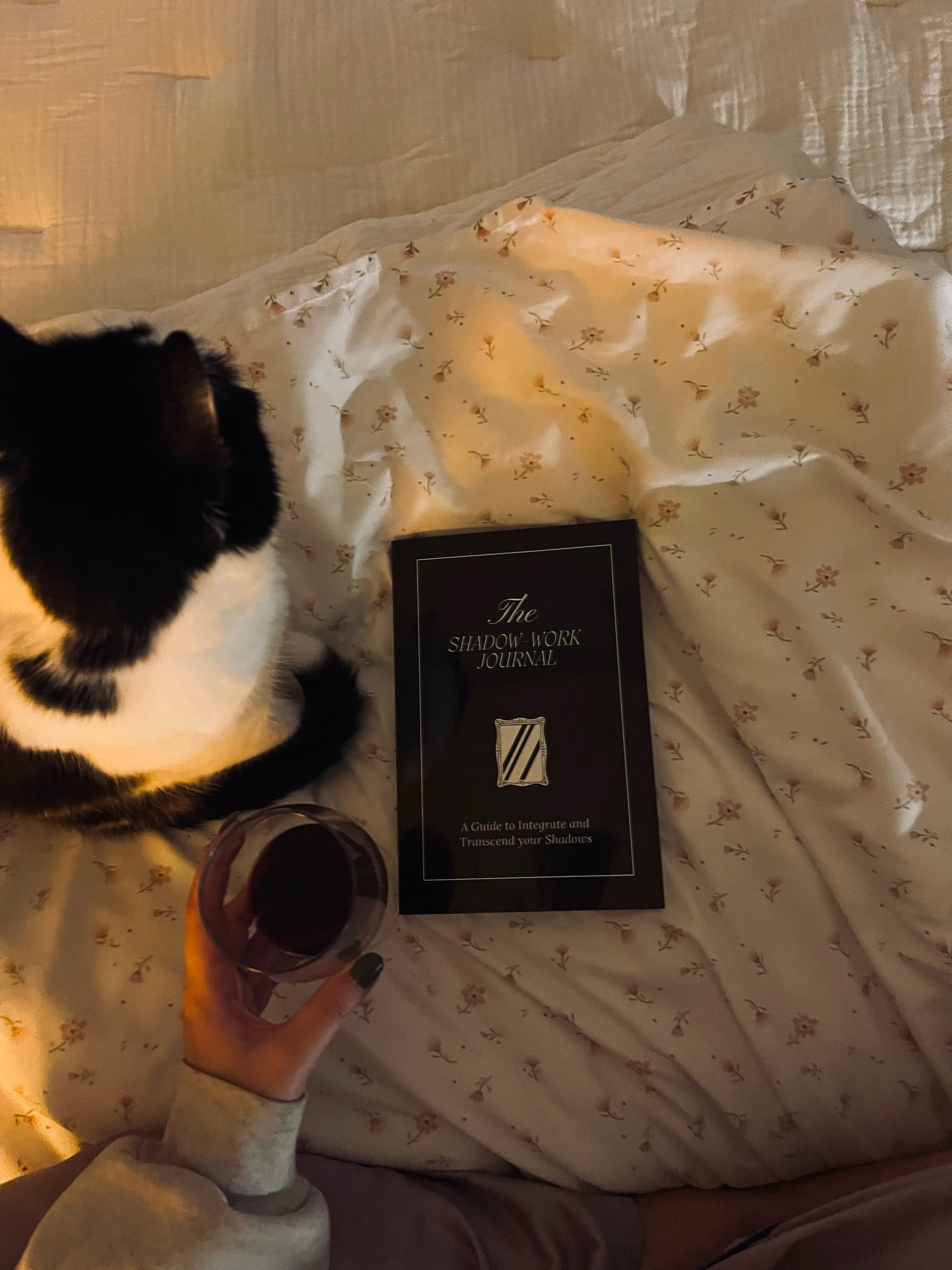 📖🍷🐈‍⬛

#LTKGiftGuide #LTKhome #LTKMostLoved