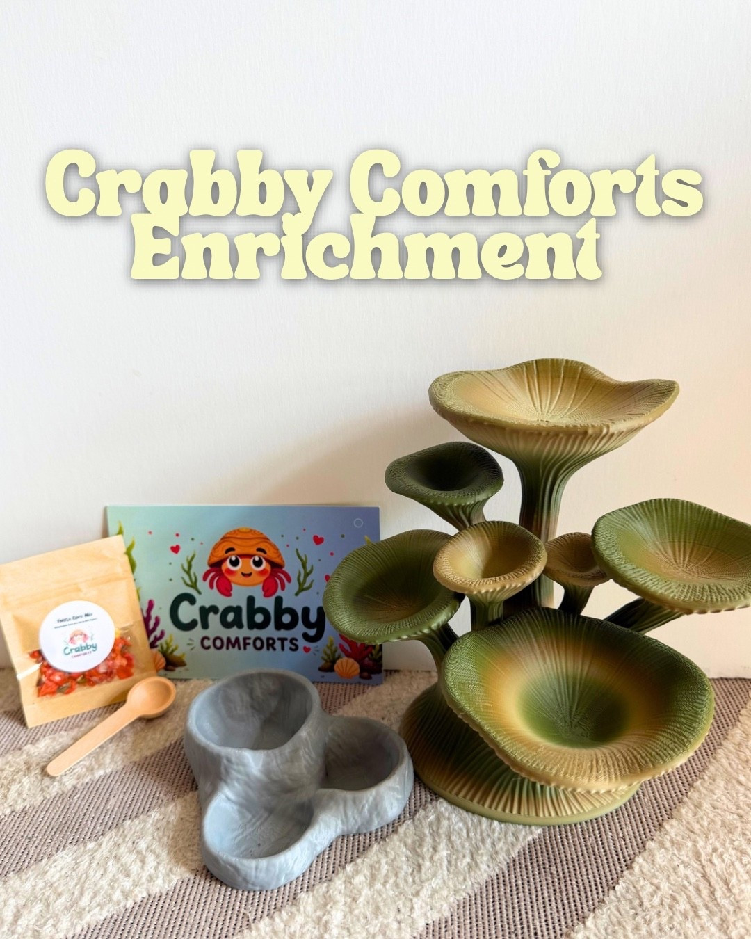 Fun hermit crab enrichment items