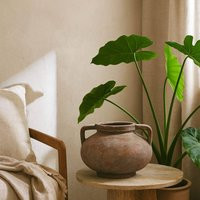 Wyld Haus Meadowhaze Pelike Brown Stoneware Vase with Handles | Debenhams UK