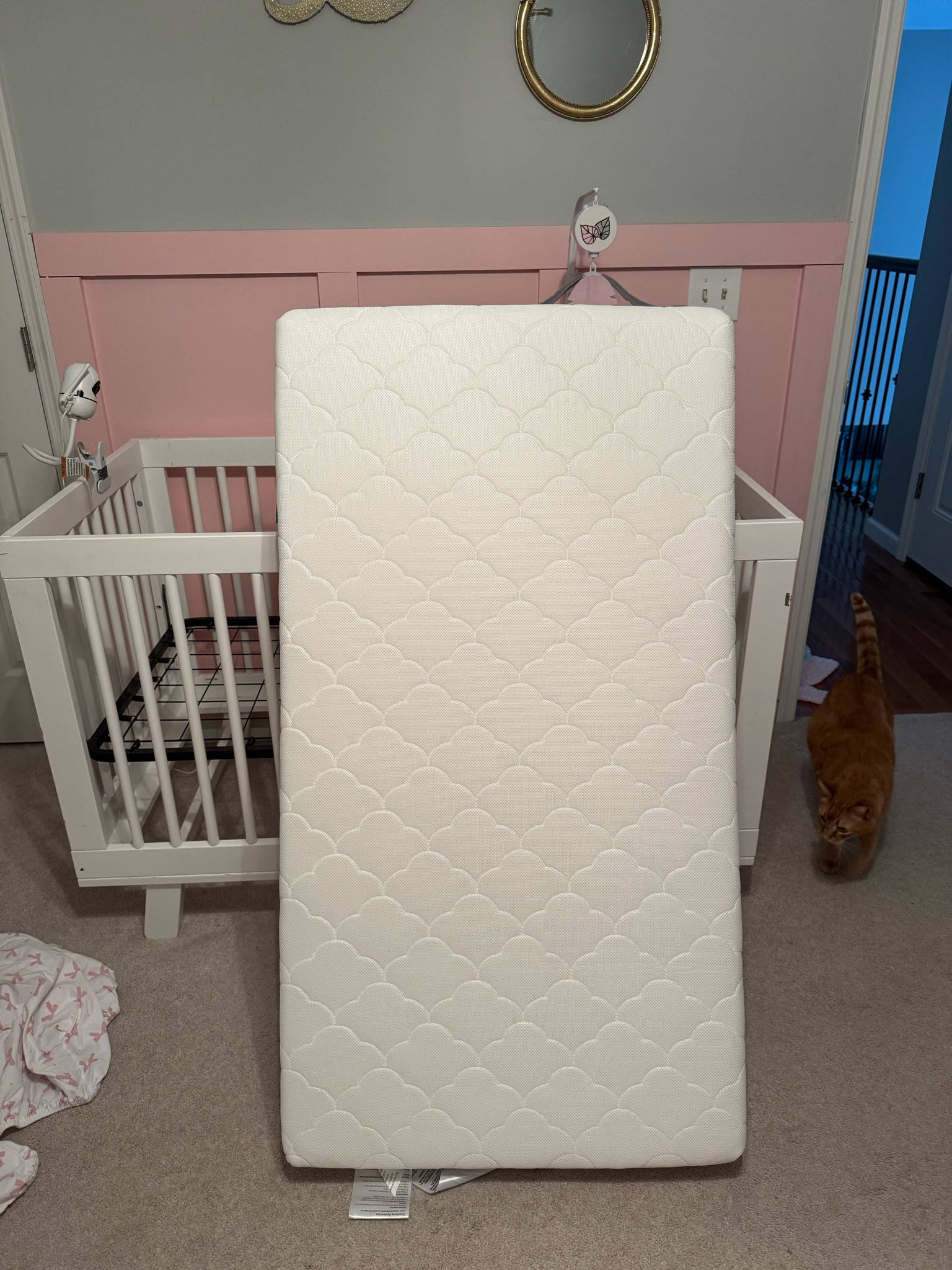 We love our Newton crib mattress! Safe and breathable and baby girl is so comfy! 

#LTKKids #LTKFamily #LTKBaby
