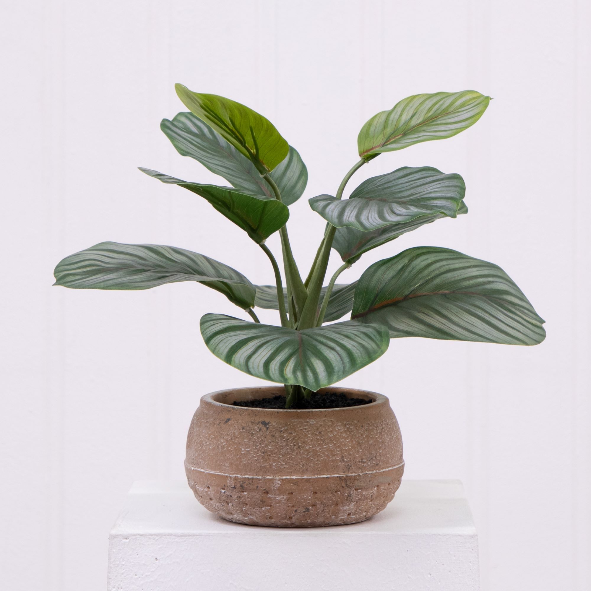 Better Homes & Gardens 9.5" Artificial Calathea in Stone Planter | Walmart (US)