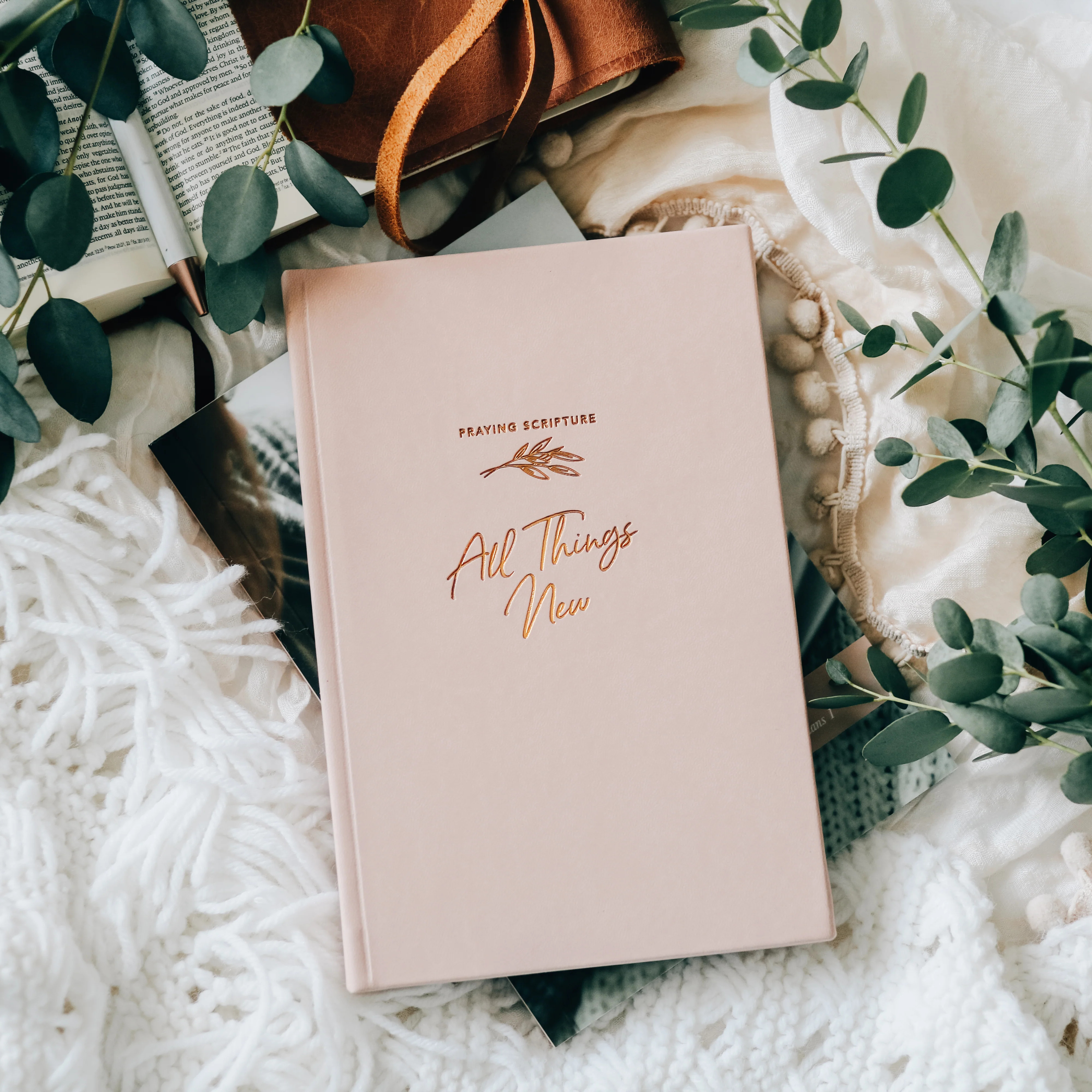 All Things New  - Praying Scripture Journal | The Daily Grace Co.