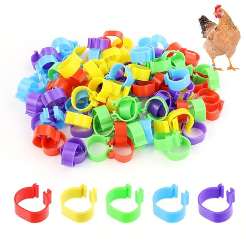 Tenalleys 100 PCS Chicken Identification Band 5Color Chicken Leg Rings 16mm Poultry Foot Rings Leg Bands Clip-on Rings for Poultry Identification | Amazon (US)