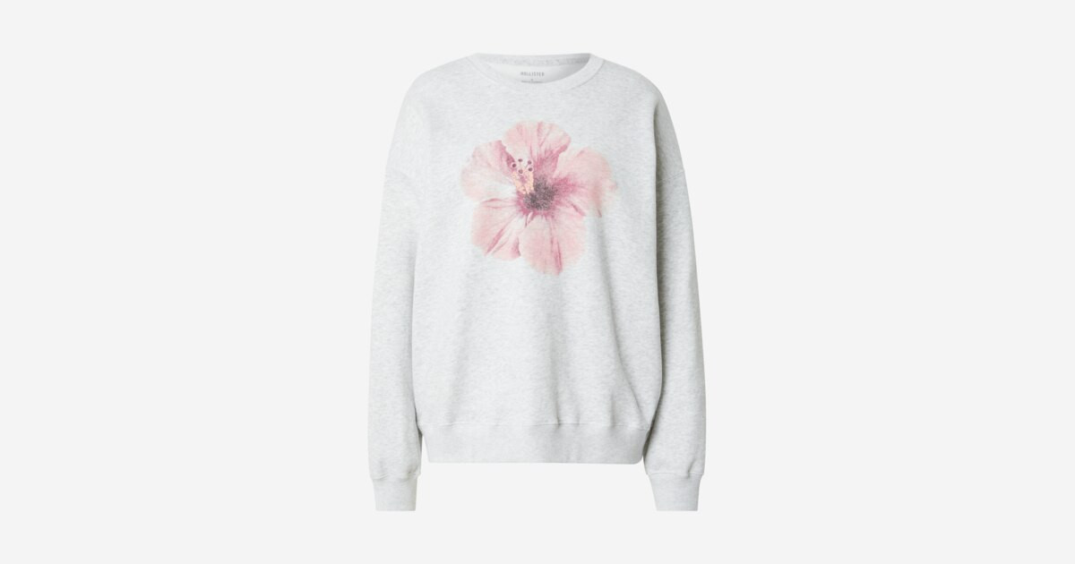 HOLLISTER Sweatshirt in Hellgrau | ABOUT YOU (DE)