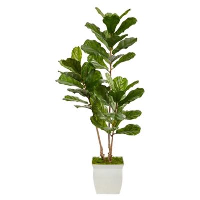 5.5’ Fiddle Leaf Artificial Tree in White Metal Planter UV Resistant (Indoor/Outdoor) | Ashley Homestore
