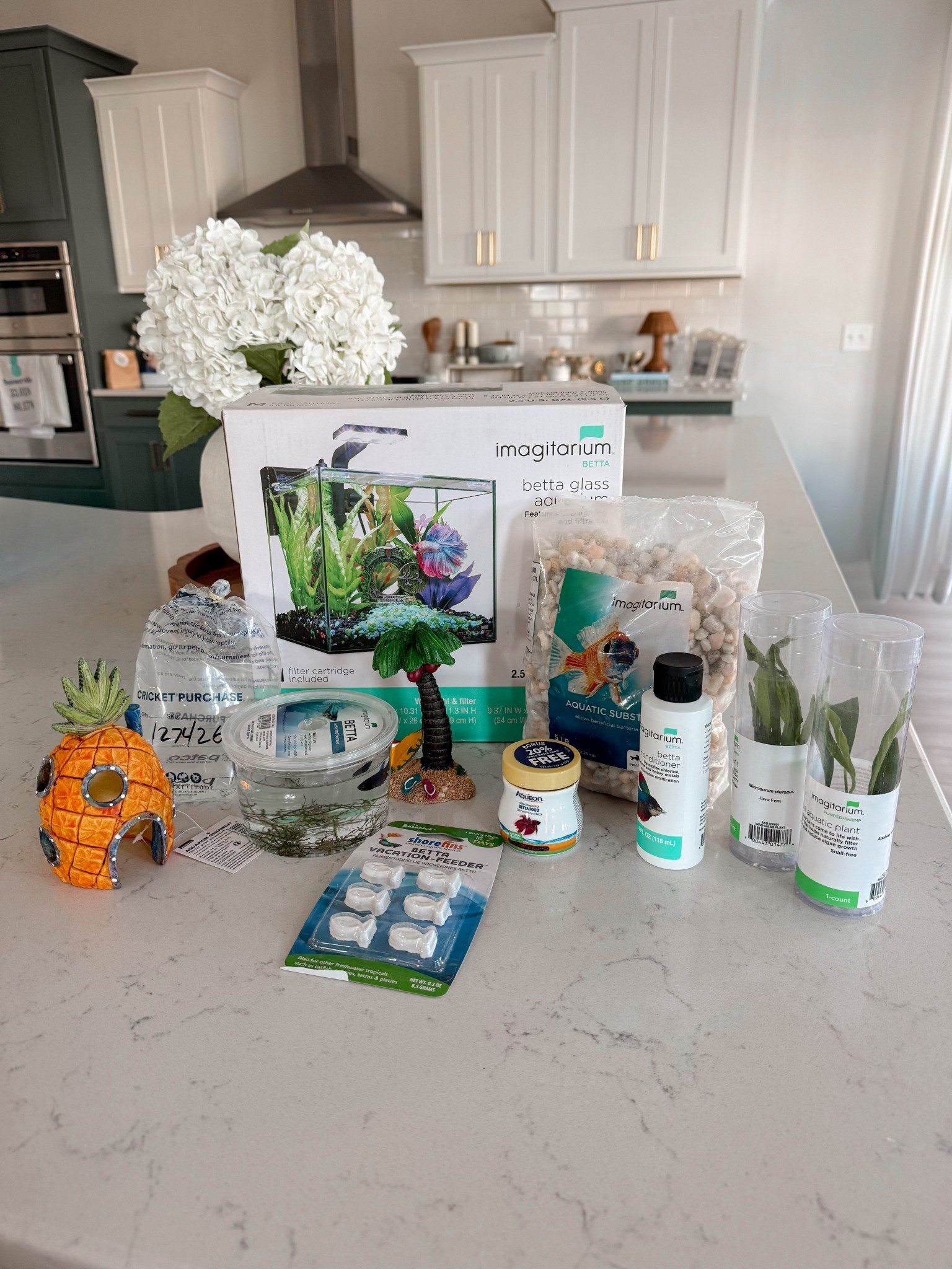 What we got for our new betta fish, Blue 🩵🐠 @petco
#petco #ad #petcopartner
