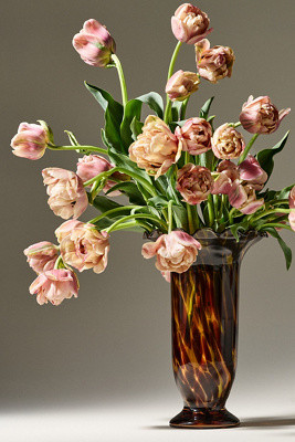 Stella Vase | Anthropologie (US)