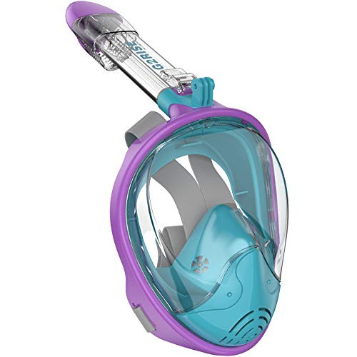 G2RISE SN01 Full Face Snorkel Mask with Detachable Snorkeling Mount, Anti-Fog and Foldable Design for Adults Kids (Kids Purple Blue, XS) | Amazon (US)