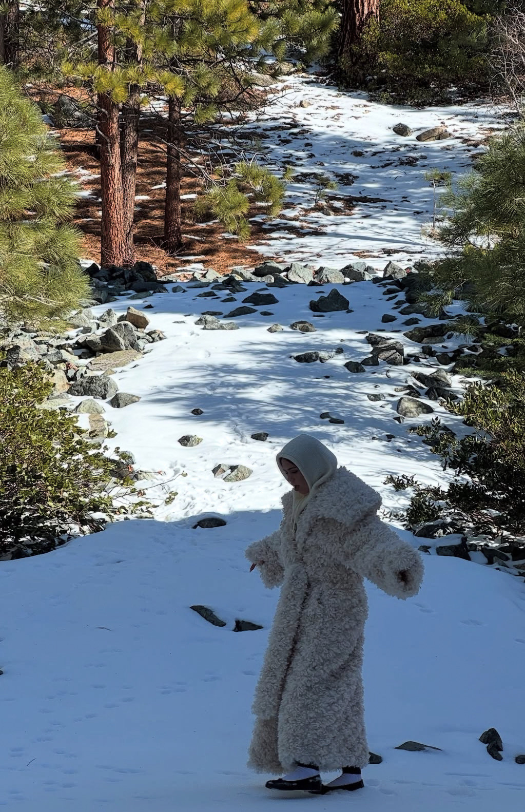 Tabis in the mountains 🏔️

Mountain, winter outfit, fur coat, flats

#LTKStyleTip #LTKSeasonal