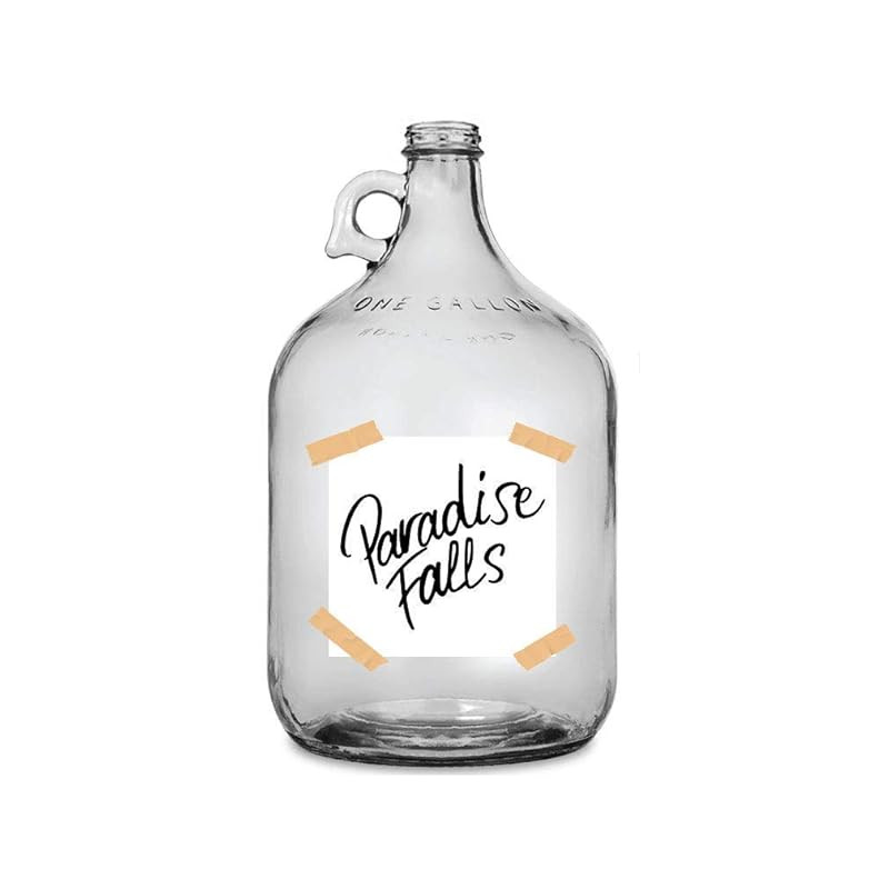 "UP" Movie Inspired PARADISE FALLS Adventure Honeymoon Fund | Label Sign | Printed Waterproof Die... | Amazon (US)