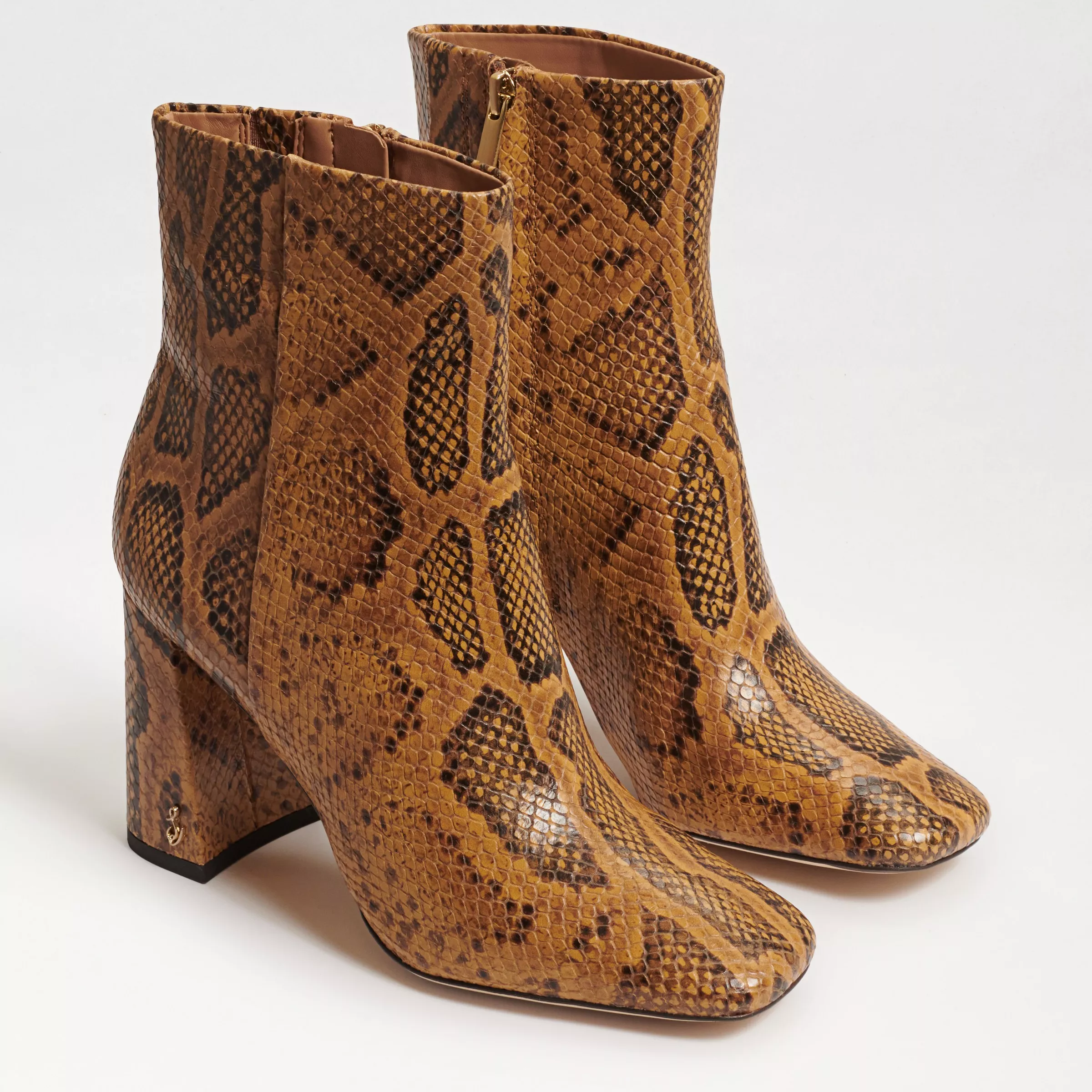 Sam edelman petty on sale snake