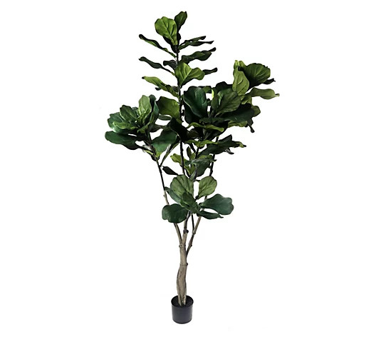 7' Potted Giant Fiddle Leaf Tree by Valerie | QVC