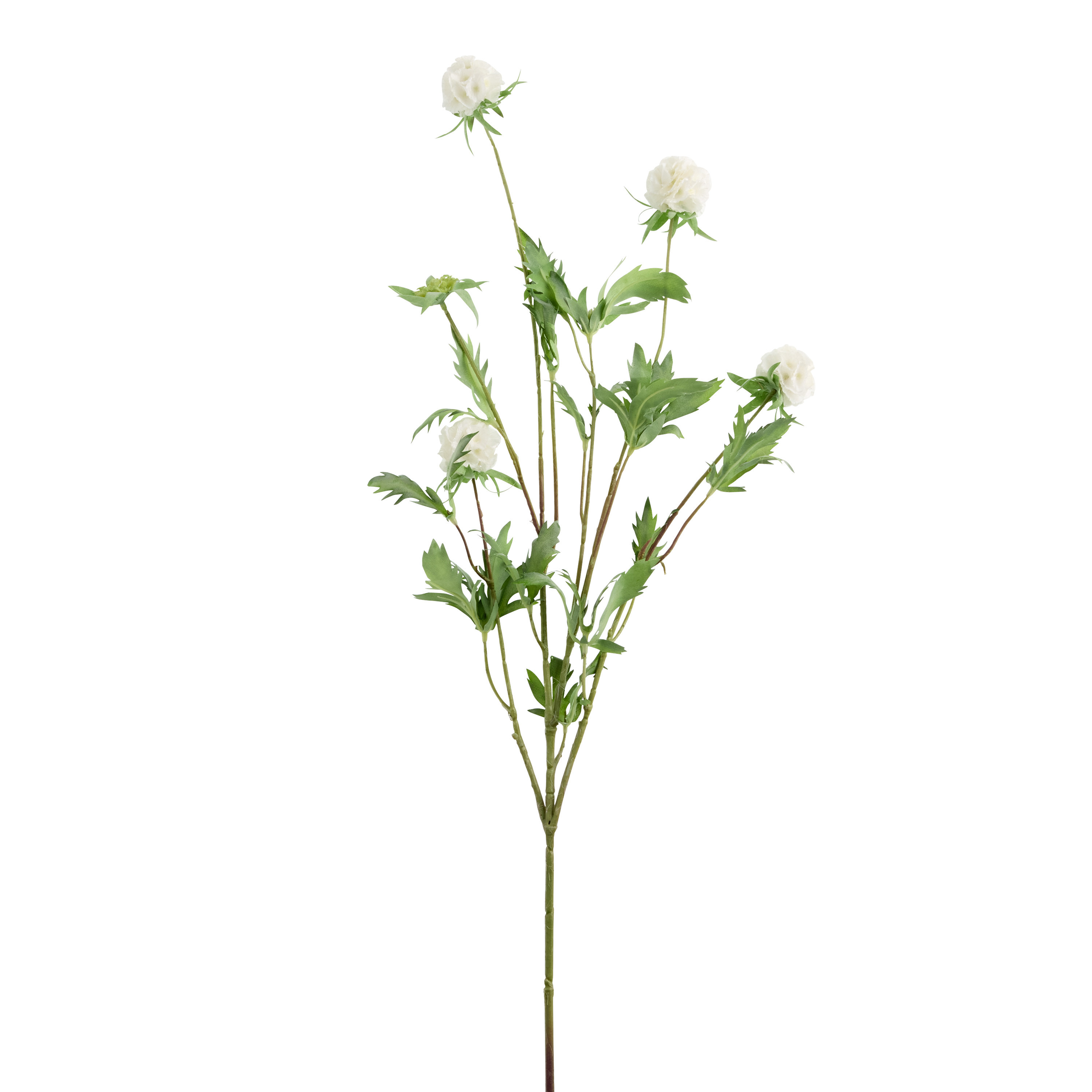 Faux Scabiosa Stem | World Market