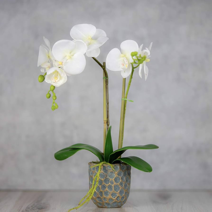 QUI-LO Perennial Gardens 18"-22" H Artificial Orchid Flowers, Fake Orchid, Artificial Orchids, Fa... | Amazon (US)