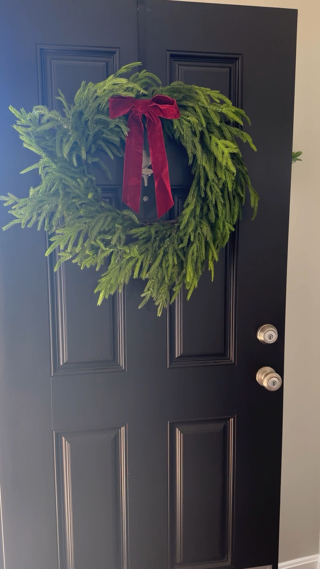 This Newley released PRE-LIT Norfolk Pine wreath is absolutely stunning! ✨

#LTKHoliday #LTKSeasonal #LTKVideo
