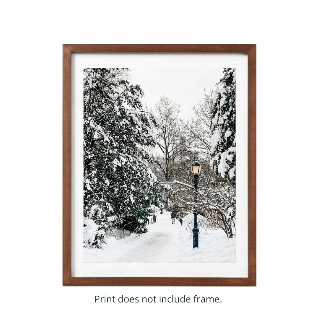 Snow Covered Path in Central Park NYC Photography Print - Etsy | Etsy (US)