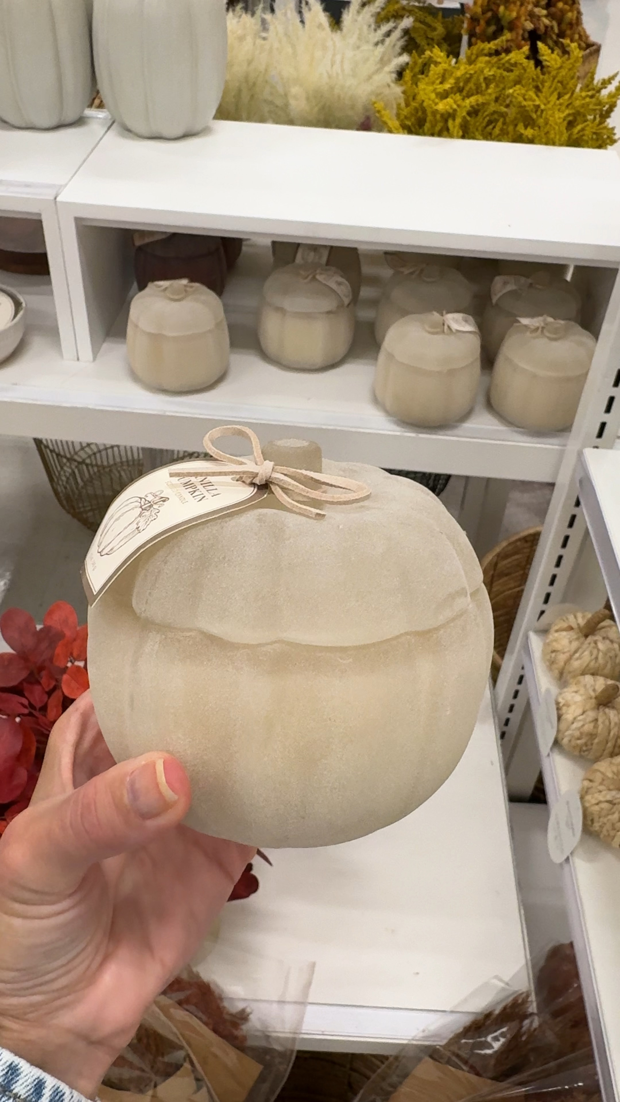 Pumpkin shaped candle at target 


#LTKHome #LTKSeasonal #LTKFindsUnder50