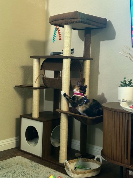 Cali’s cat tree is currently 7% off! It was given to us as a gift and it’s honestly so beautiful. It’s very modern and fits perfectly with my living room decor. Cali loves playing and lounging in her tree 🌳 

#LTKsalealert #LTKhome #LTKSeasonal