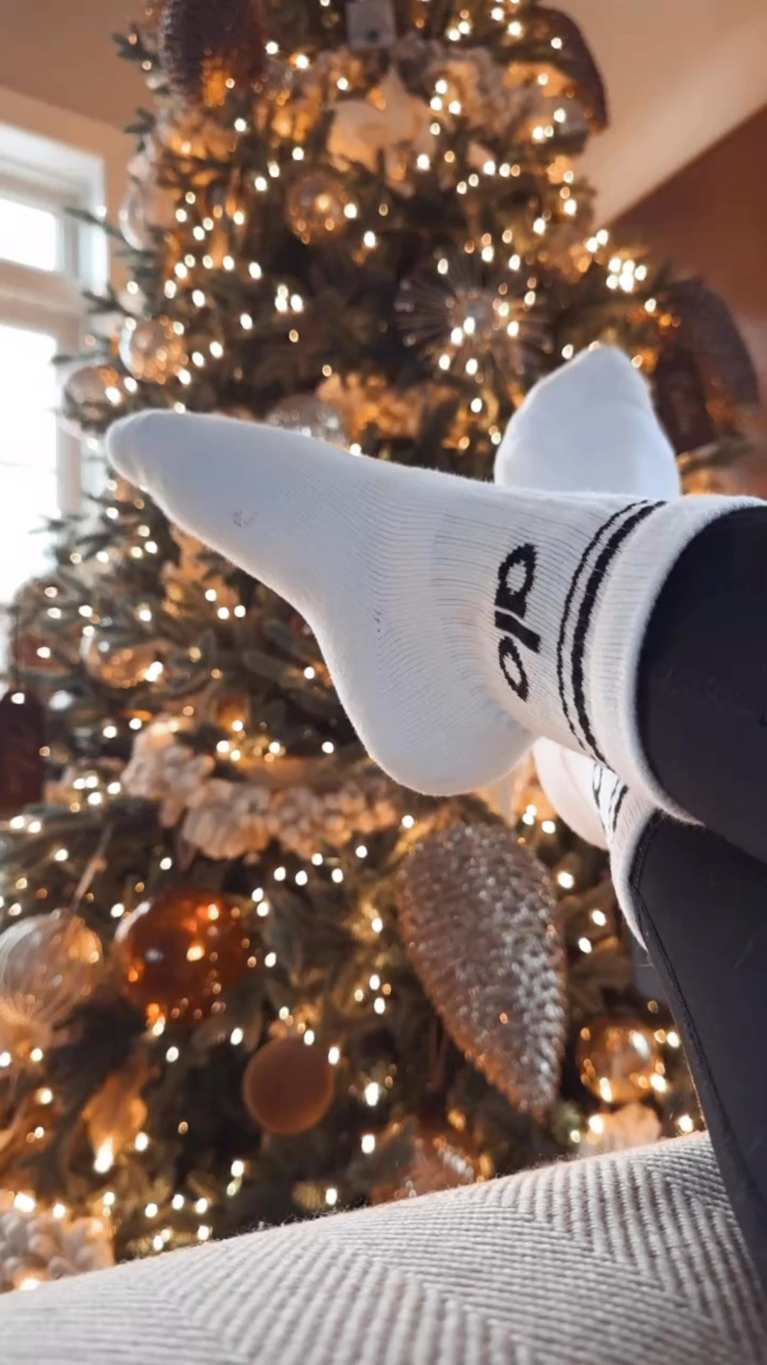 The best socks! 🧦

#LTKHoliday #LTKGiftGuide #LTKFindsUnder50