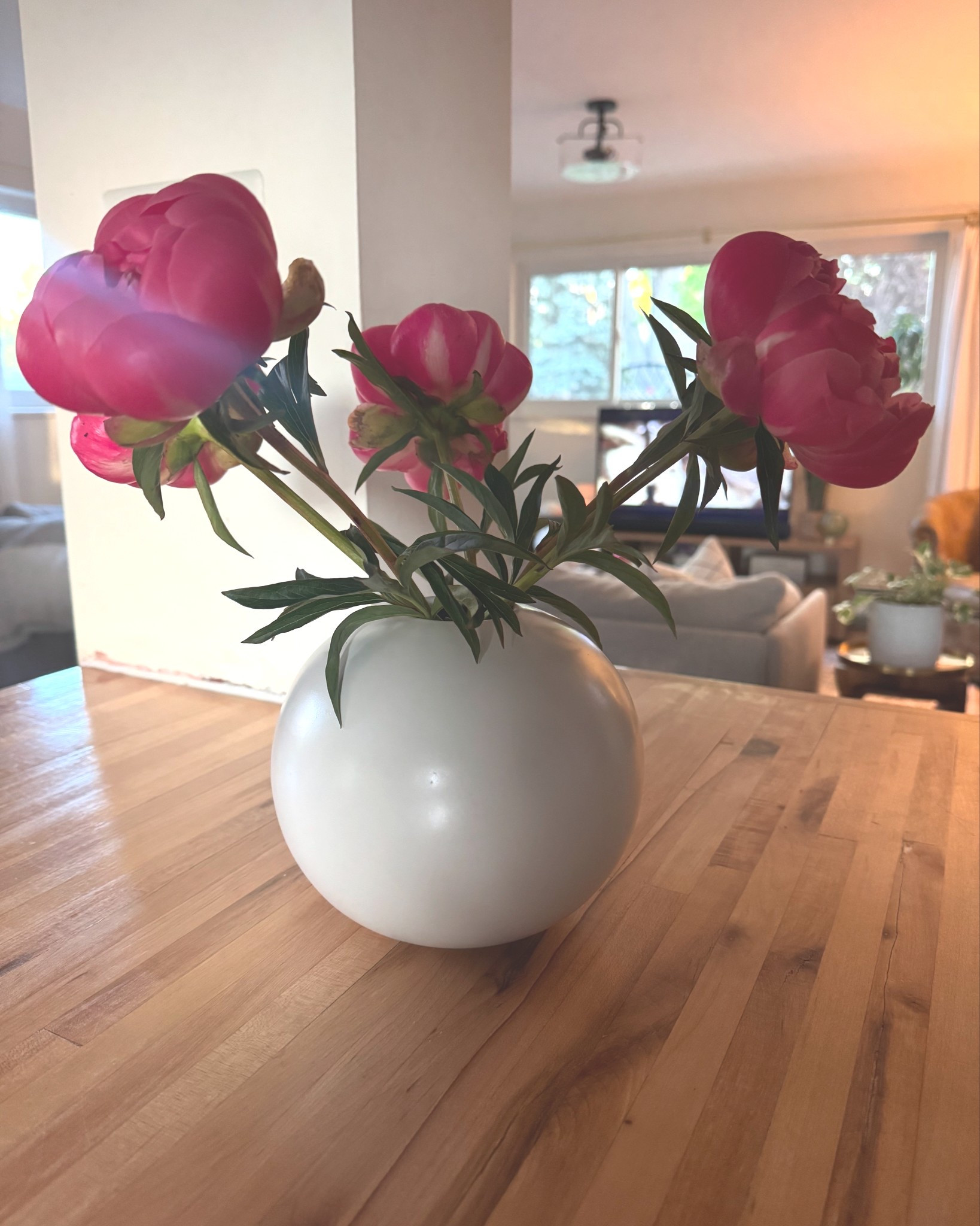 Flowers blooming—my favorite kind of reminder.
This season is all about growth and movement. With summer on the horizon and the kids buzzing with energy, I’m feeling the spark of fresh ideas, new beginnings, and design inspiration everywhere. The air feels different—lighter, fuller—like everything is ready to blossom.

#SpringVibes #FreshDesigns #CreativeEnergy #SummerComing #BloomsAndBusiness #InspirationEverywhere #DesignSeason 

#LTKHome #LTKSaleAlert #LTKSeasonal