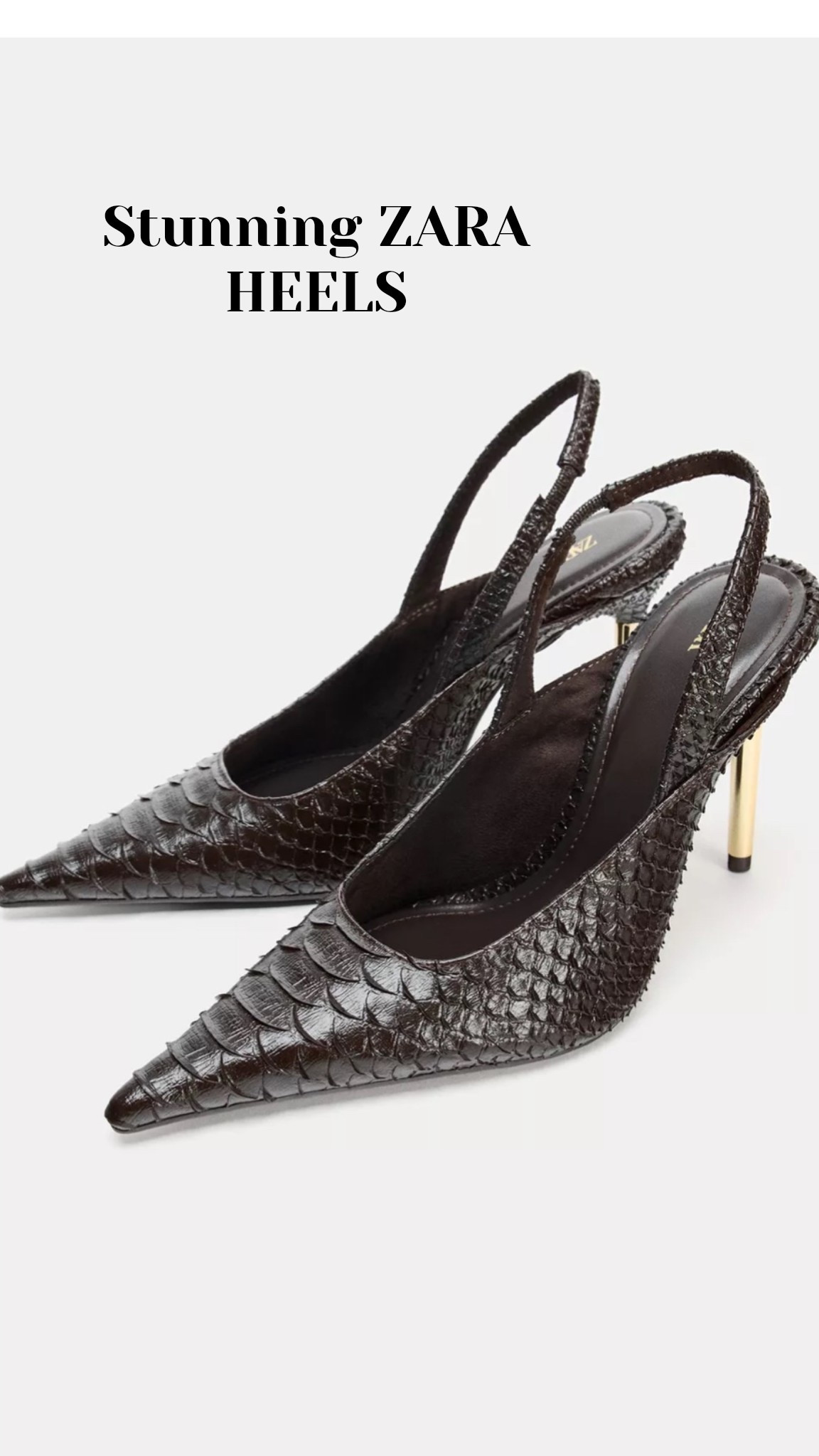 I think I just found my next GO TO date night heel and they are BEYOND fabulous! These croc embossed sling back heels from Zara with a sleek gold wrapped stiletto are giving me elevated vibes and you won't believe the price! 

 #LTKootd #LTKOver40 #LTKWedding